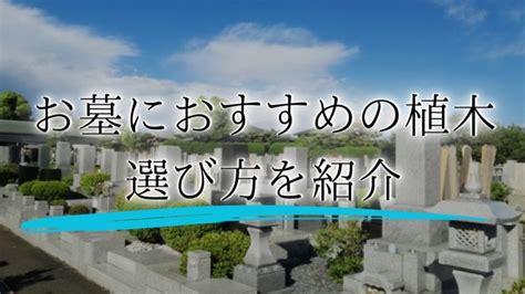 墓 植物|お墓の植木 – 選び方のポイントを解説 